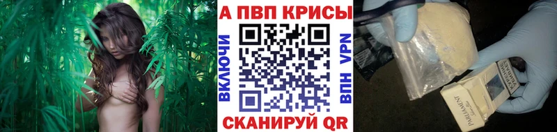 где купить   Коммунар  А ПВП Соль 
