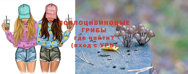 герыч Снежинск