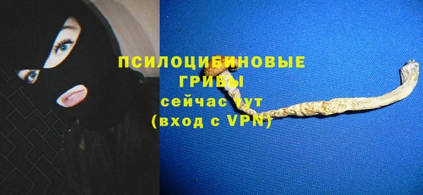 гидра Белоозёрский