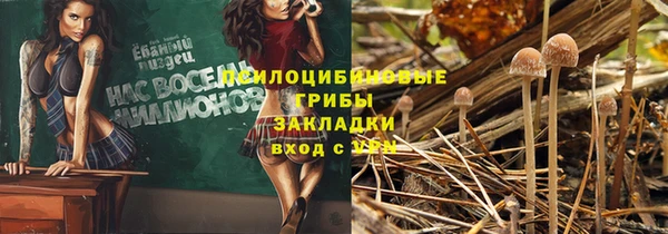 a pvp Беломорск
