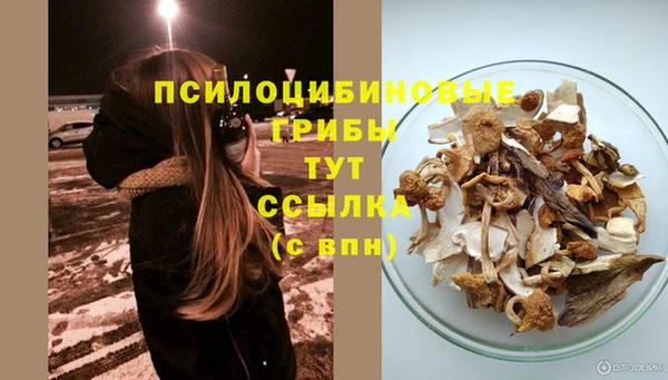 a pvp Беломорск