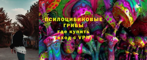 гидра Белоозёрский