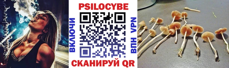 Галлюциногенные грибы MAGIC MUSHROOMS  Коммунар 